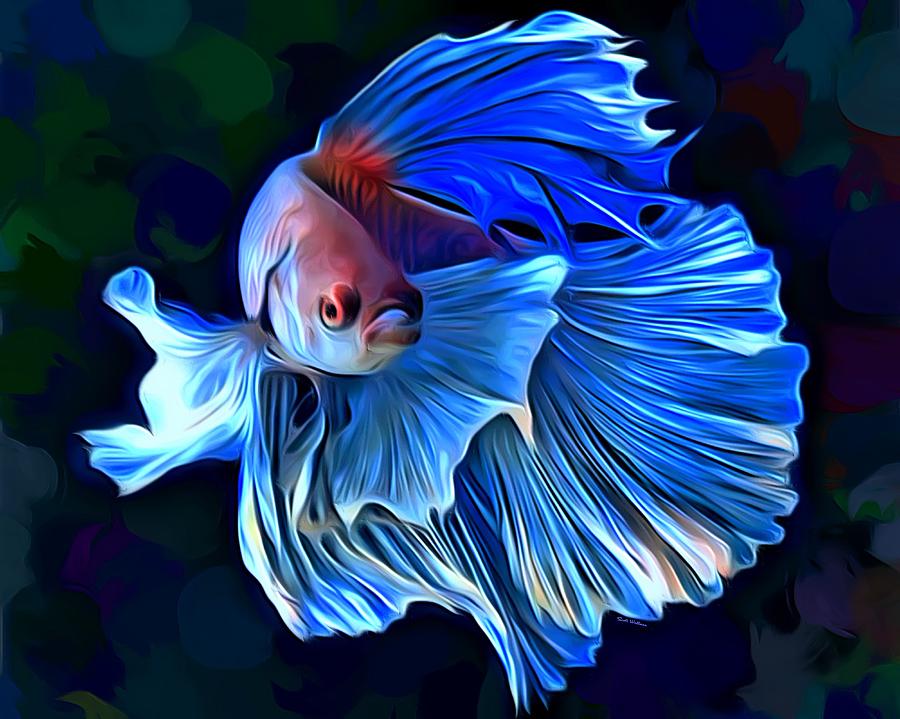 Betta Fish 1 Portrait Digital Art by Scott Wallace