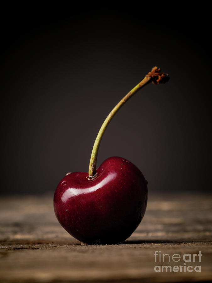 Big Red Cherry Photograph By Andreas Berheide Fine Art America