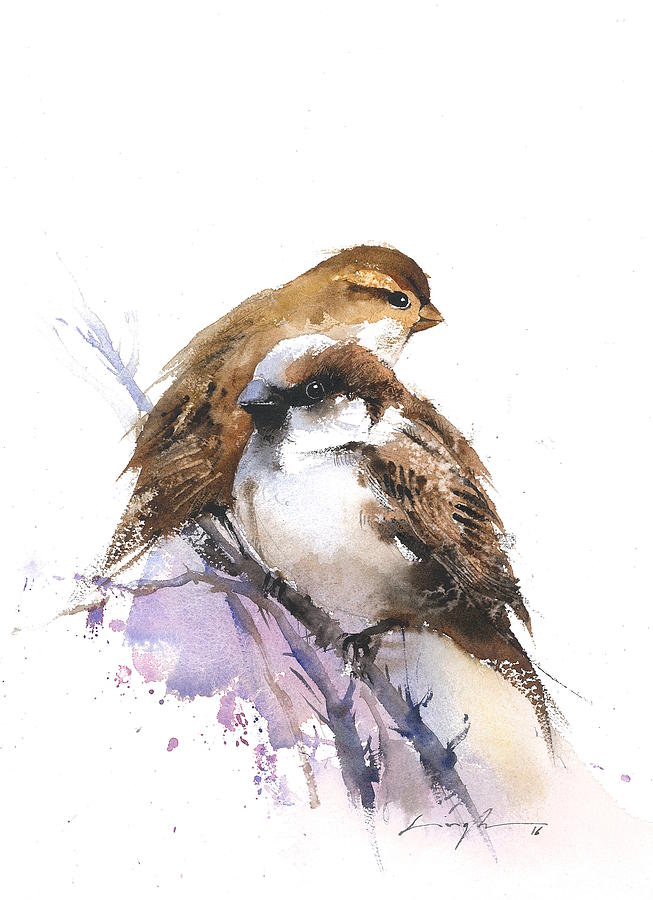 Bird Artwork Original Watercolor Sparrows Watercolor Art Collectibles