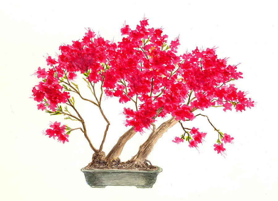 Image result for azalea painting