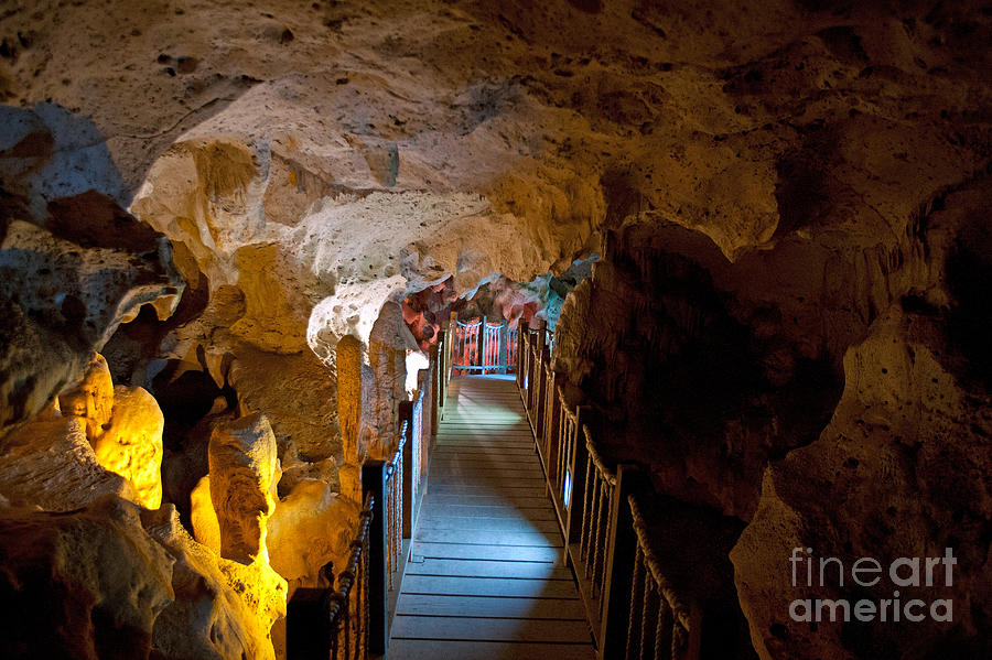 Bridge At Green Grotto Caves Jamaica Photograph By Jason O Watson