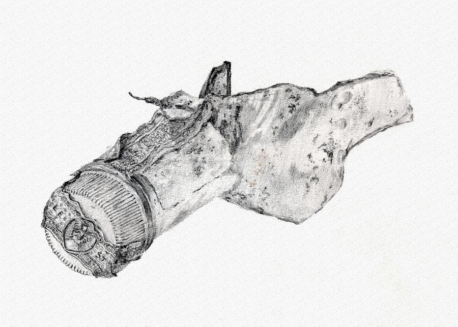 Broken Bottle Drawing by Donald Maier