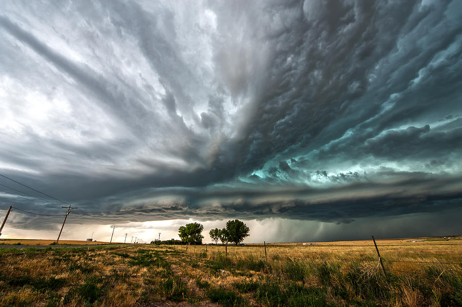 Brush Colorado Photograph By Colt Forney