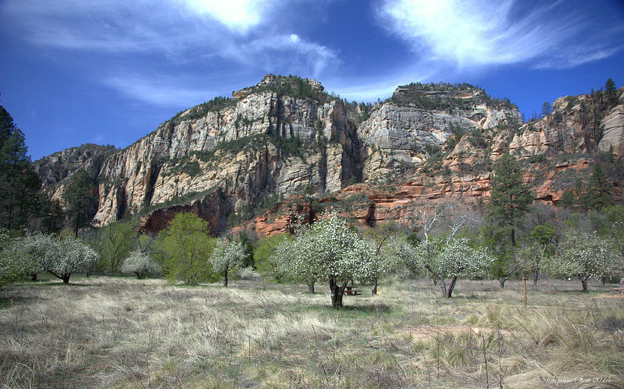 Cave Spring Campground by Suzanne Stout