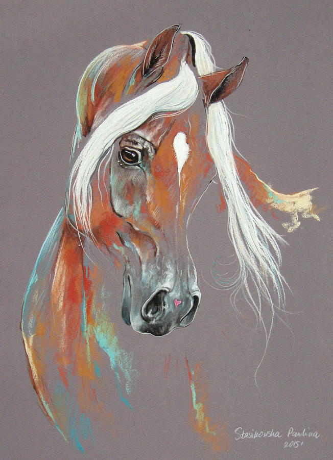 Chestnut Arabian Horse Painting by Paulina Stasikowska