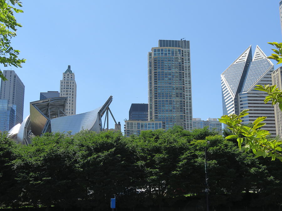 Chicago From Maggie Daley Park Photograph By Cindy Kellogg Fine Art