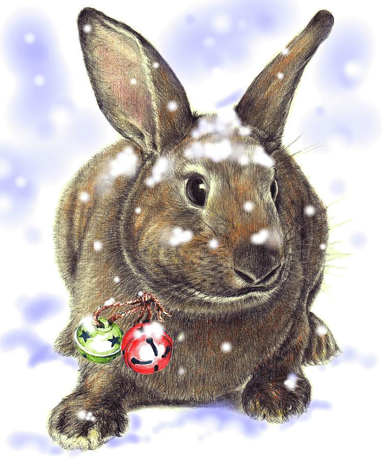 Christmas Bunny In The Snow Drawing by Heidi Kriel