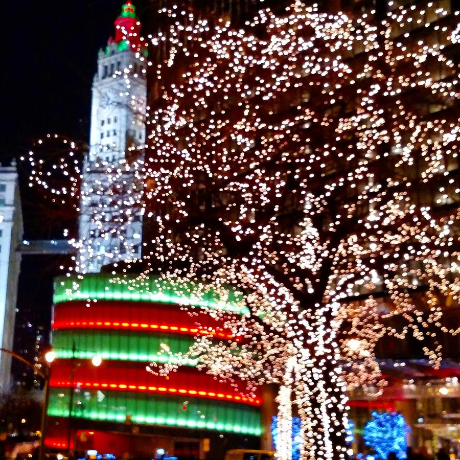 christmas lights in chicago photograph by madeline tracy christmas lights in chicago photograph by madeline tracy