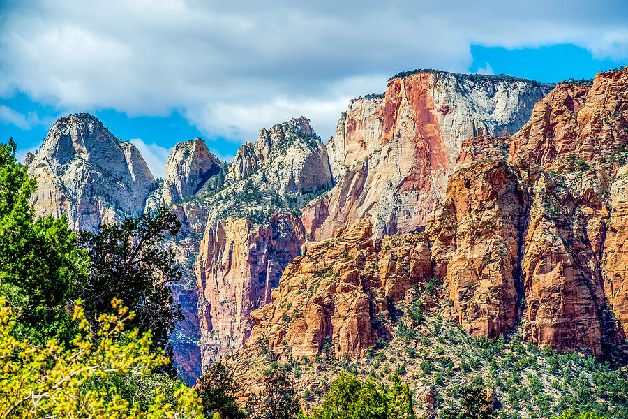 Colorful Zion Canyon National Park Utah Photograph by Alexandr Grichenko