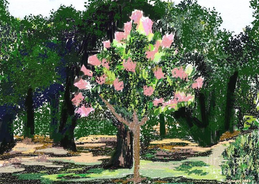 Crepe Myrtle Tree Drawing by Sher Magins