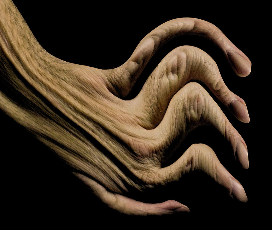 Crippled Photograph by Michael DeBlanc