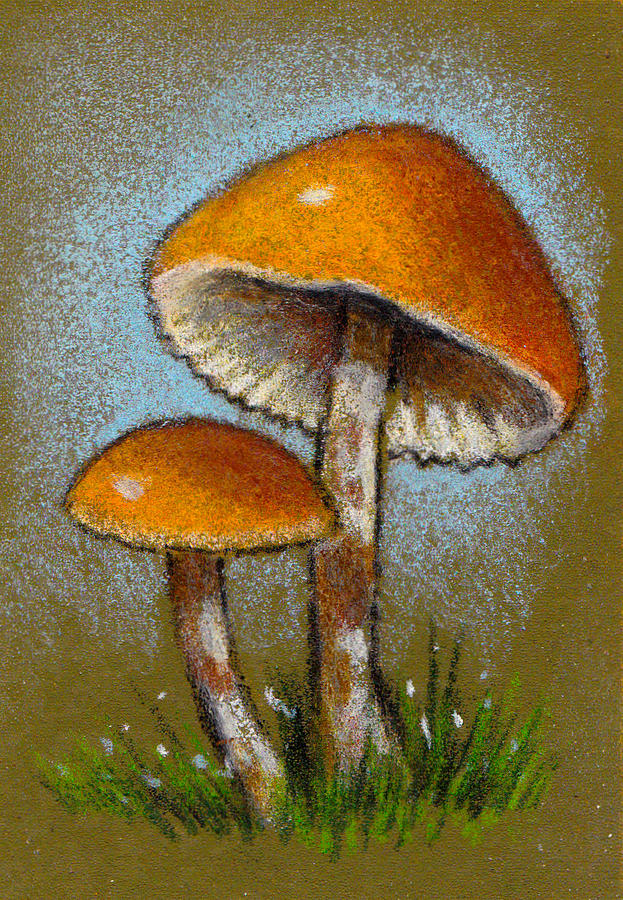 Deadly Galerina Mushrooms In Color Pencil Drawing by Joyce Geleynse