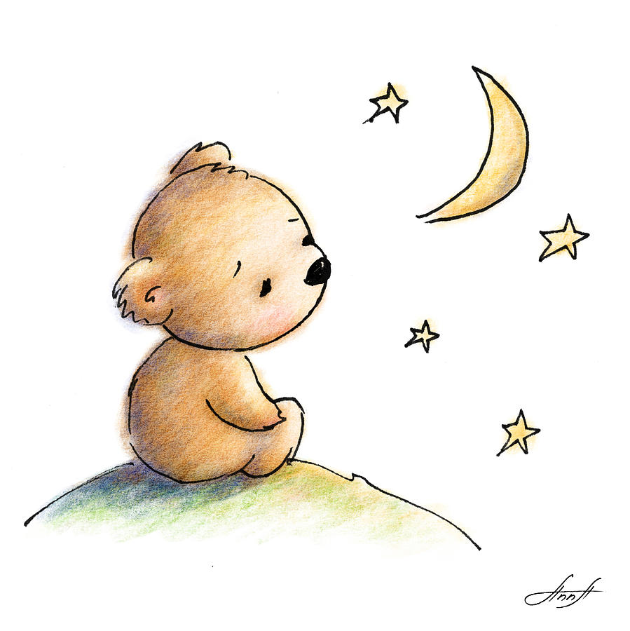 Drawing Of Cute Teddy Bear Watching The Star Drawing by