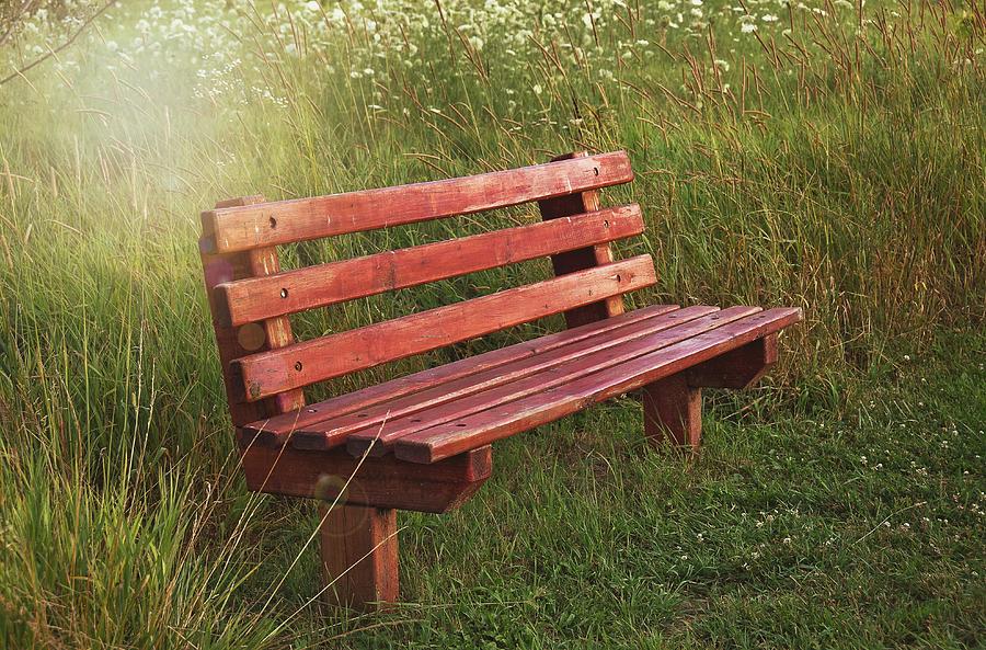 Empty Bench Photograph By Maria Dryfhout Fine Art America