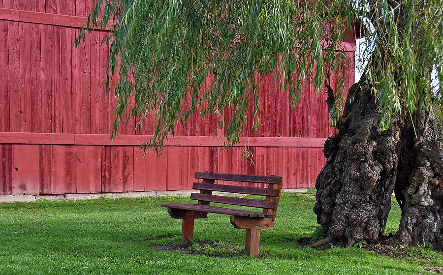 Empty Country Bench Photograph By Maria Dryfhout Fine Art America