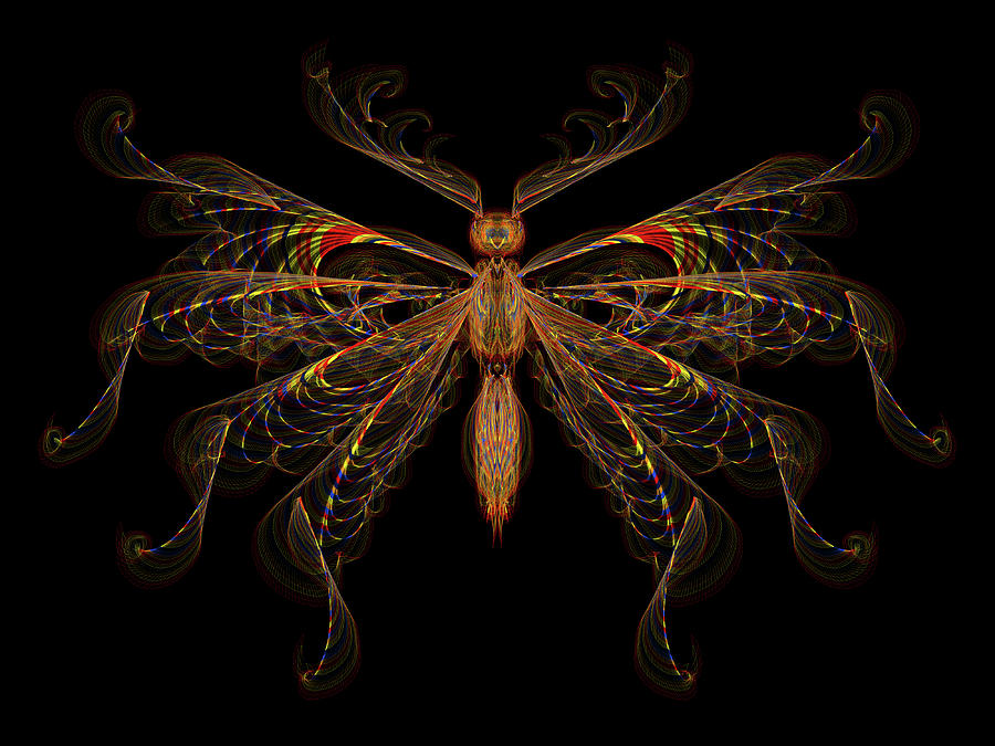 Fantasy Butterfly Viii Digital Art By Lorraine Stanton Fine Art America