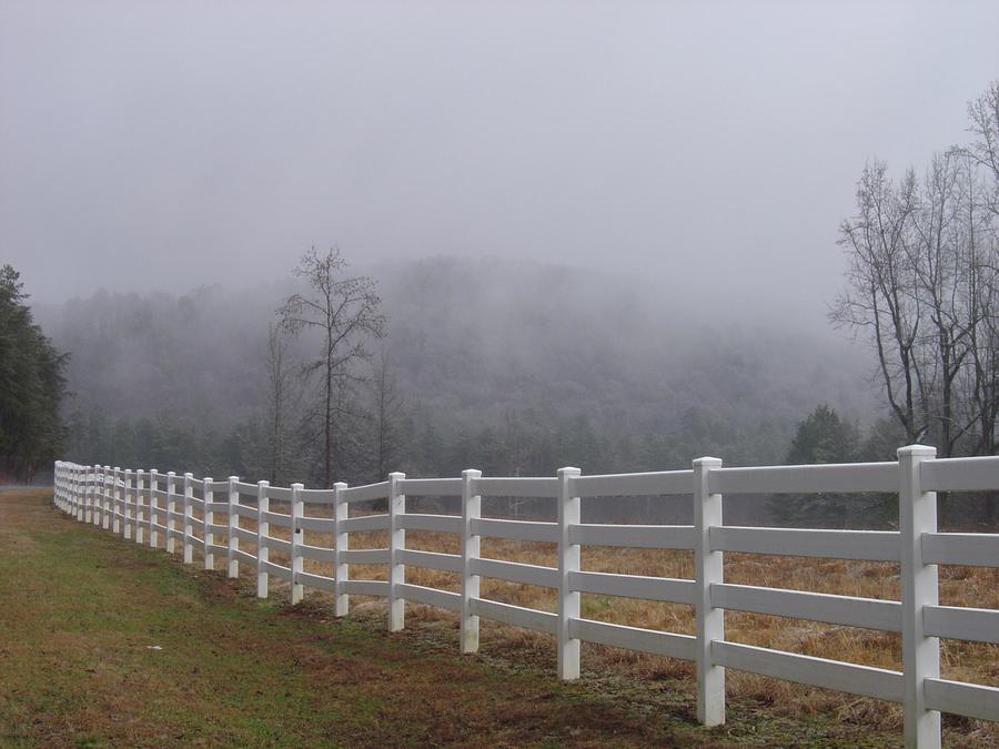 Fence In The Fog Photograph By Cindy Hicks Fine Art America