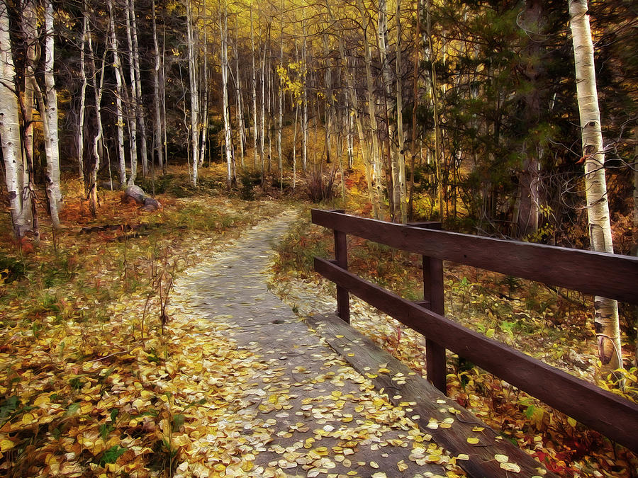 Fence - Oil Painting Version Photograph by Barbara MacFerrin