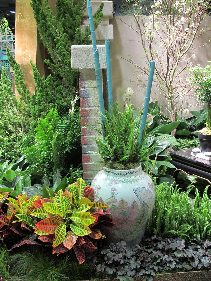 Ferns And Bamboo Photograph By Cindy Kellogg Fine Art America