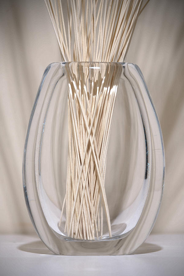 Glass Vase With Sticks Photograph By Andrew Wohl Fine Art America