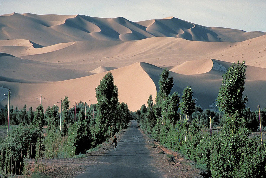 Gobi Desert, China 3 Photograph by Carl Purcell