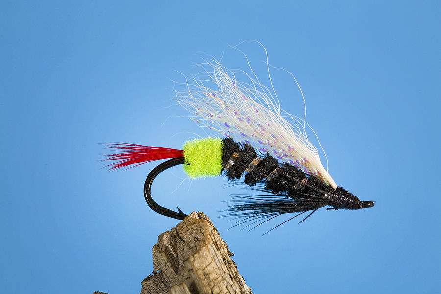 Green Butted Skunk Steelhead Fly Photograph By Buddy Mays Fine Art