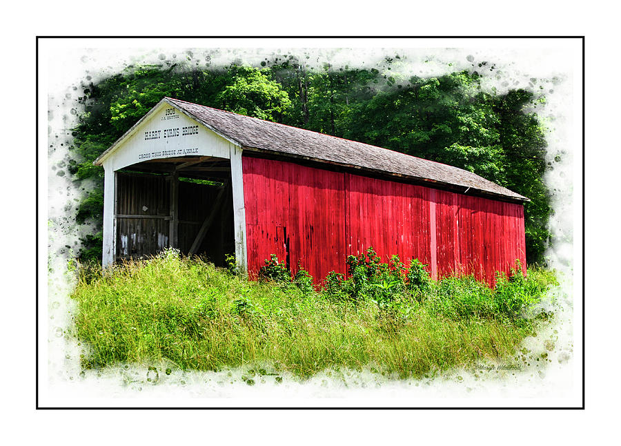 Harry Evans Bridge Photograph By Margie Wildblood Fine Art America