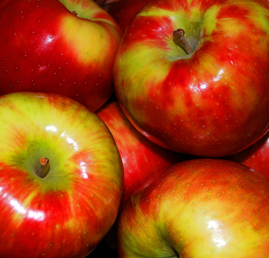 honey crisp apple honey crisp apple