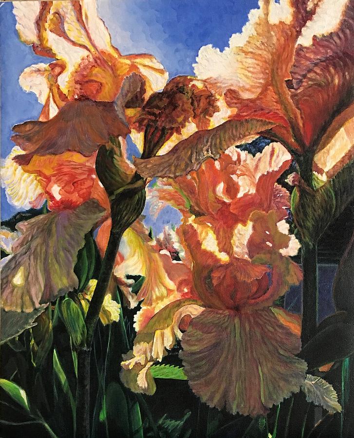 Irises In The Sunlight Painting By Liwa Liu Chapman Fine Art America