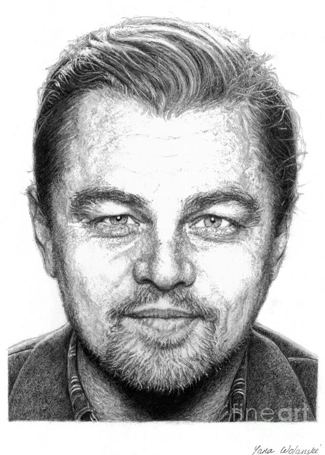 Leonardo Dicaprio Drawing By Yana Wolanski