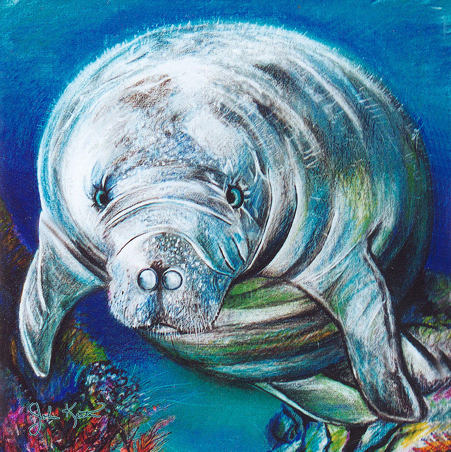 Manatee Painting By John Keaton