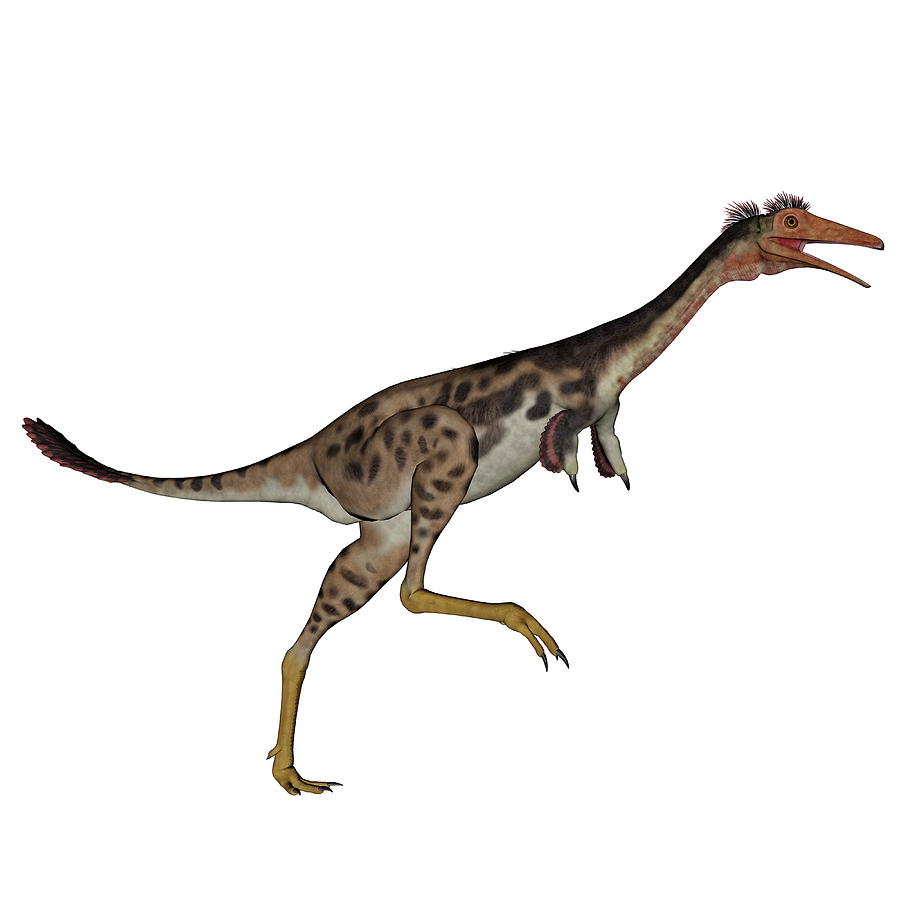 leopardon dinosaur