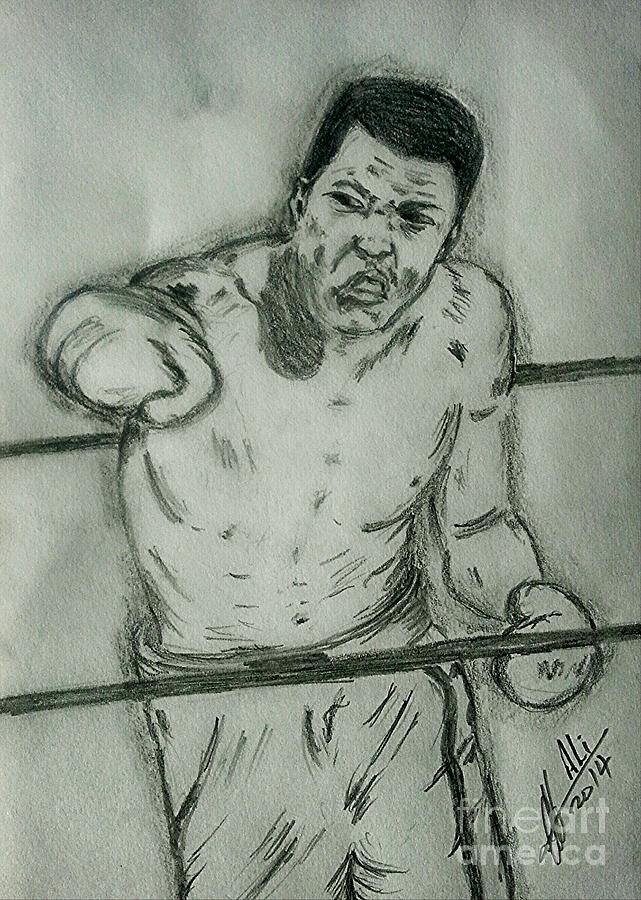 Muhammad Ali Drawing By Collin A Clarke Pixels