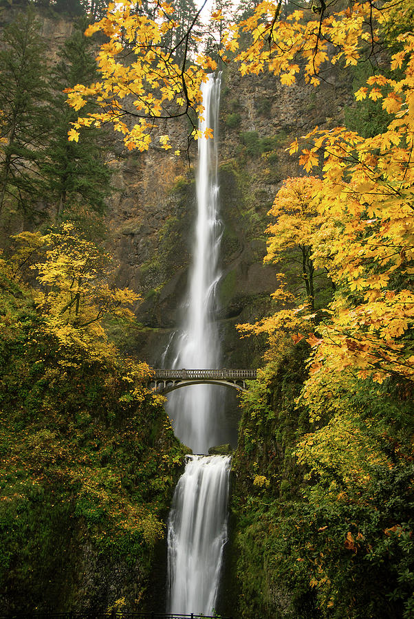 Multnomah Falls Autumn Photograph By Jeremiah Leipold