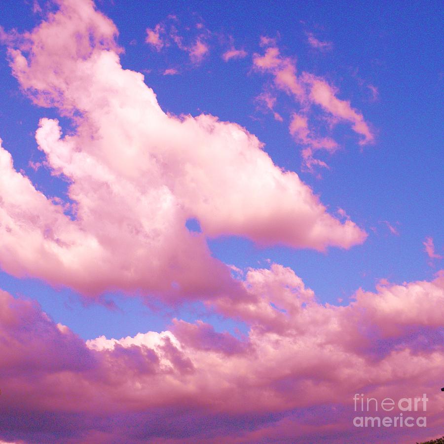 Natural Sky Sculpture Animated Photograph by Robin Coaker