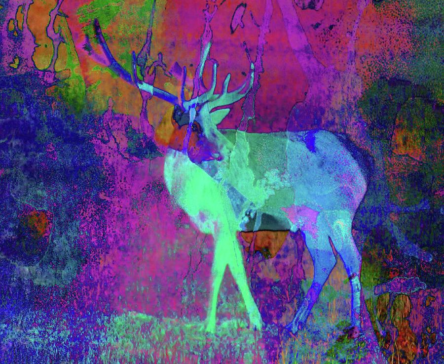neon elk buck photograph by martina webster neon elk buck photograph by martina webster