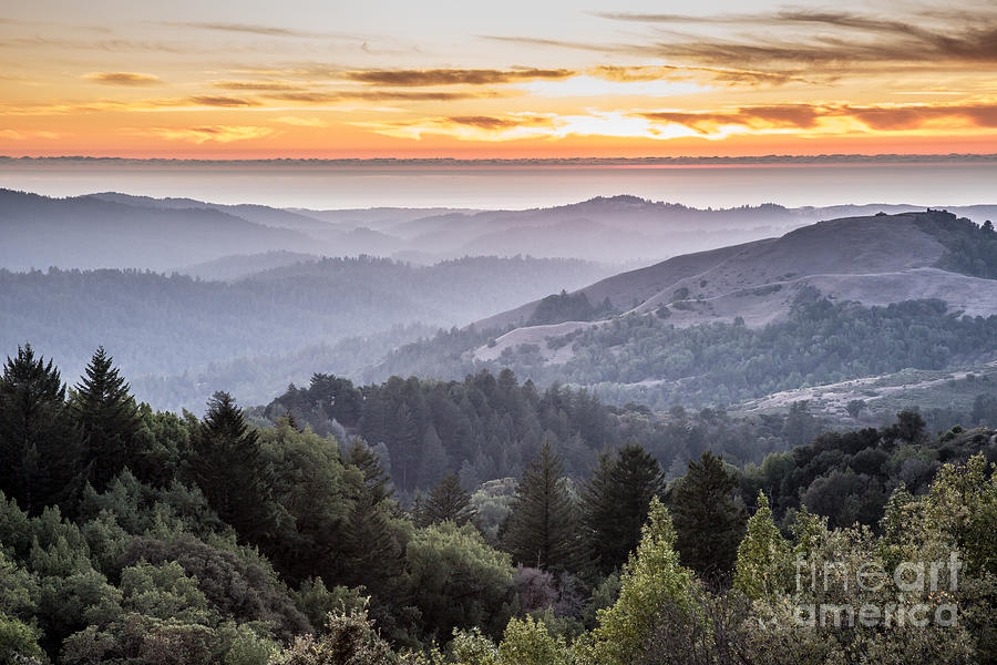 Northern California Landscape Photograph by Yuval Helfman