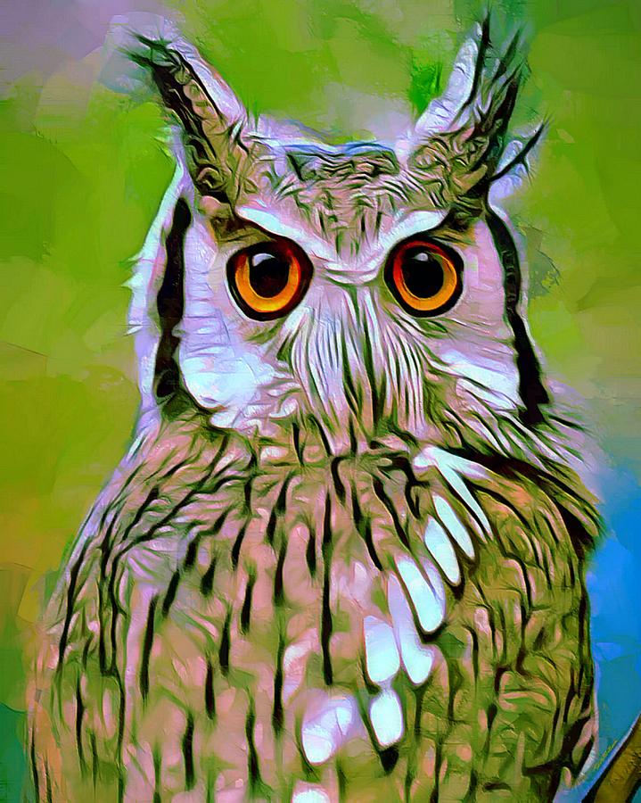 Northern White Faced Owl Digital Art By Scott Wallace