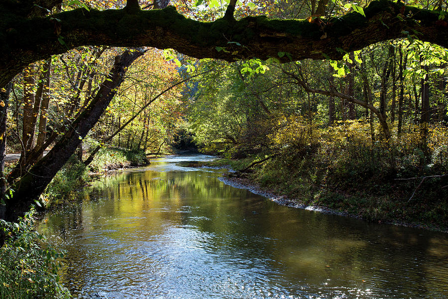 Peaceful Stream Photograph by Jeff Roney