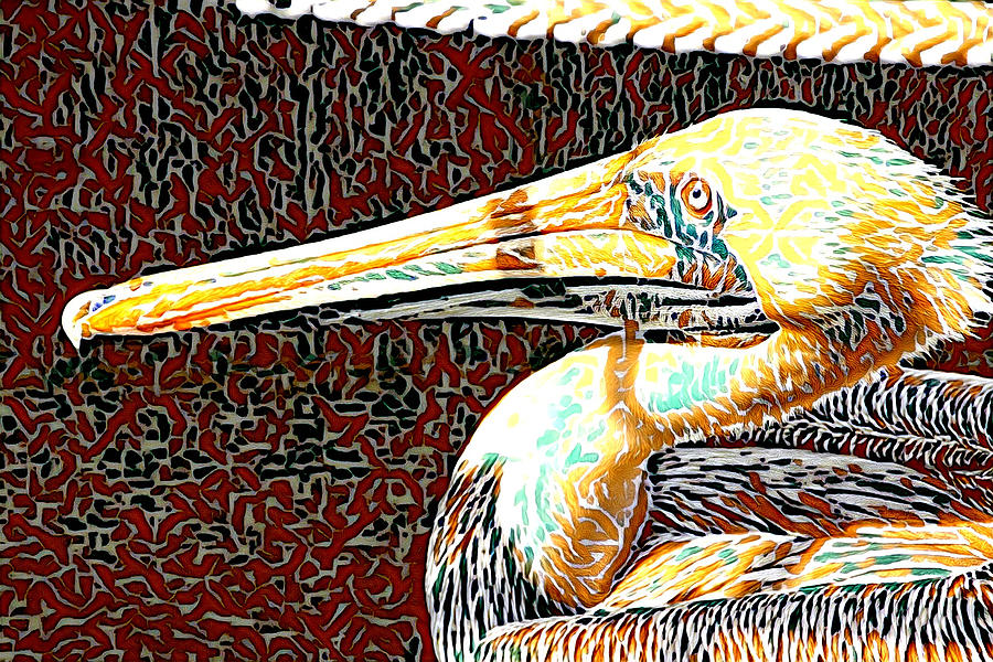 Pelican Abstract Photograph By Alice Gipson Fine Art America