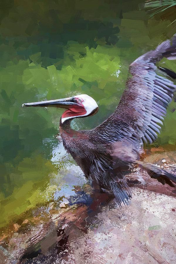 Pelican Flutters Photograph By Alice Gipson Fine Art America