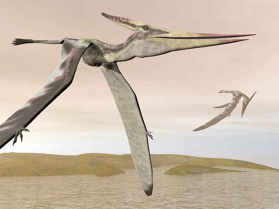 pteranodon flying