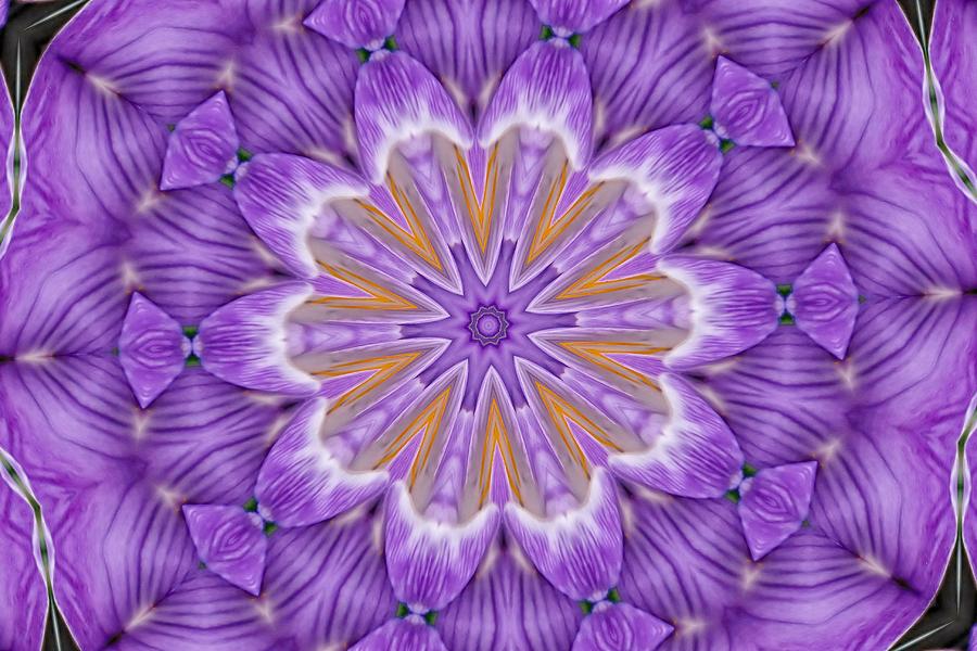 purple kaleidoscope image