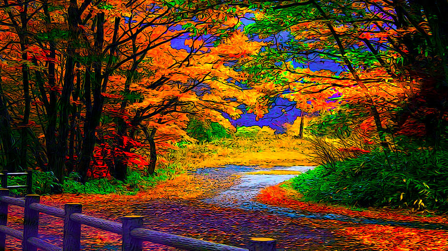 Rainbow Autumn Colors Photograph by Ron Fleishman