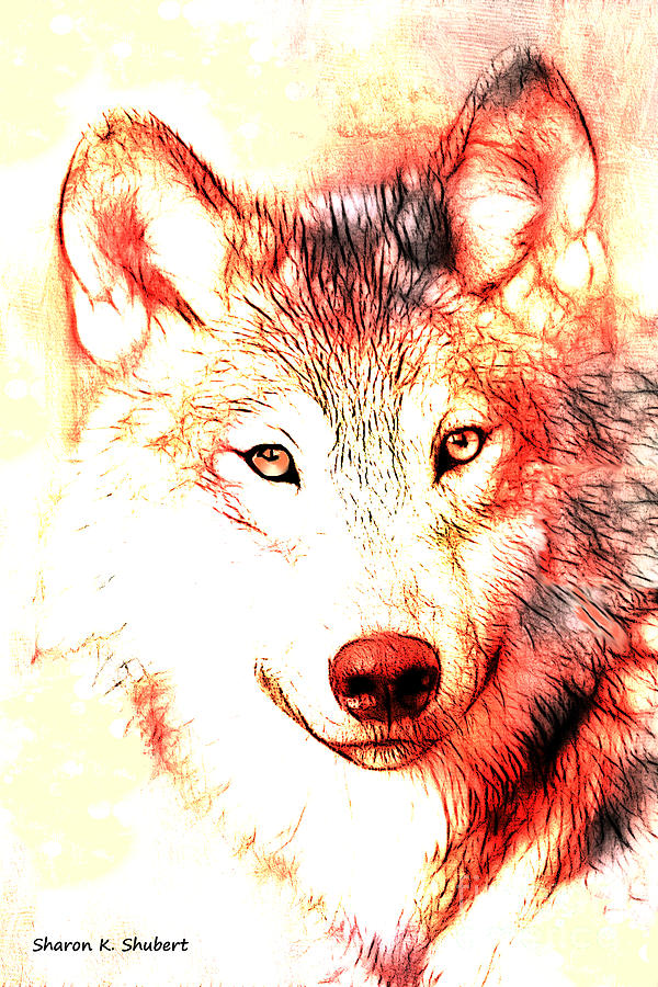 Red Wolf Portrait Digital Art by Sharon K Shubert