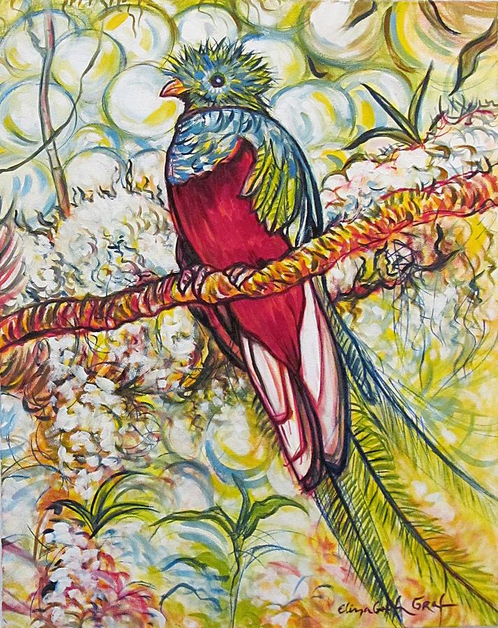 Resplendent Quetzal Painting By Elizabeth Graf Fine Art America