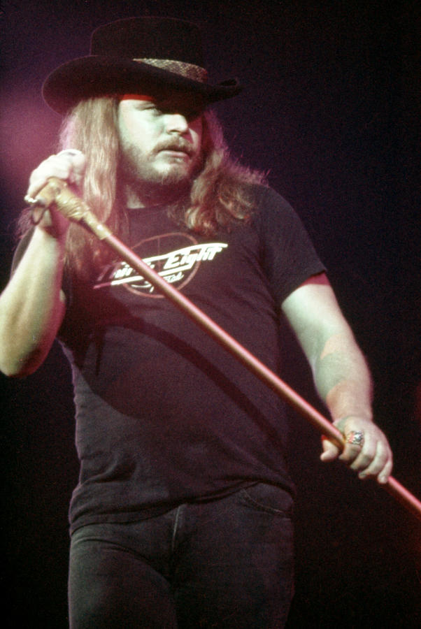 Ronnie Van Zant Net Worth