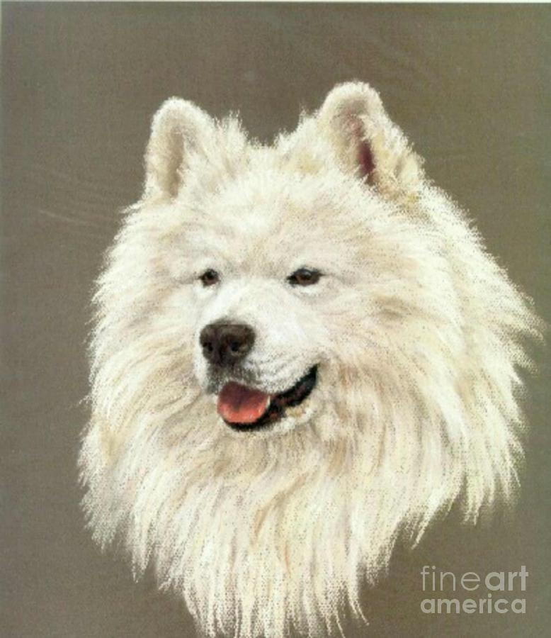 Samoyed Painting by Blackwater Studio