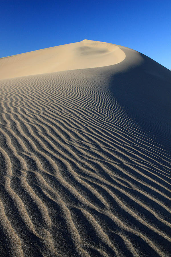 Sand Dunes Ripples Photograph By Pierre Leclerc Photography Pixels