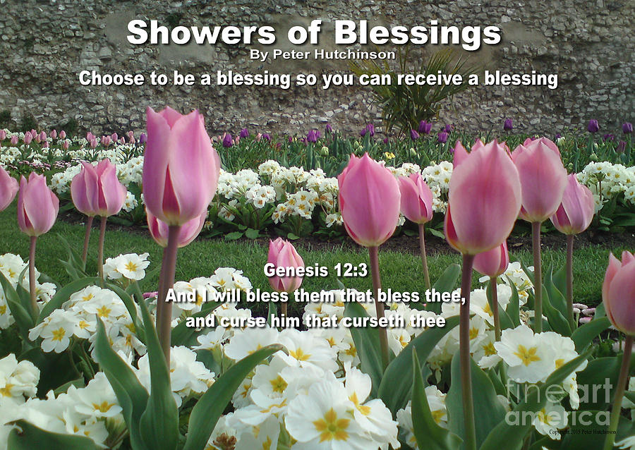 Showers Of Blessings Digital Art by Bible Verse Pictures